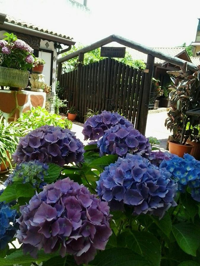 Cabanas Valle Verde Moya  Екстер'єр фото